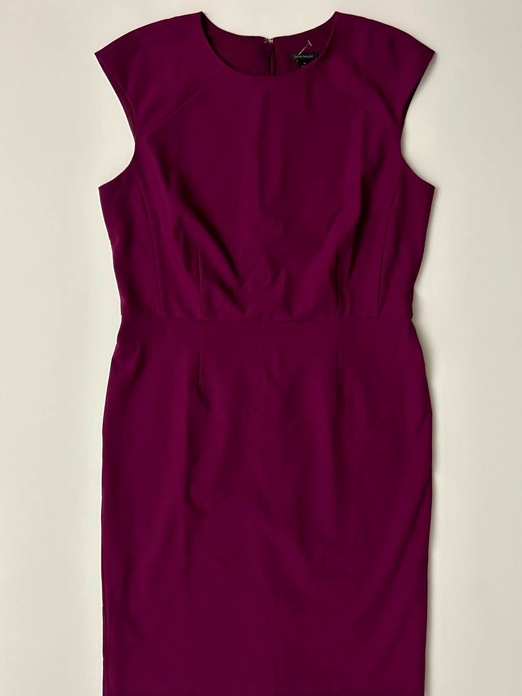 Ann Taylor Sleeveless Round Neck Dress